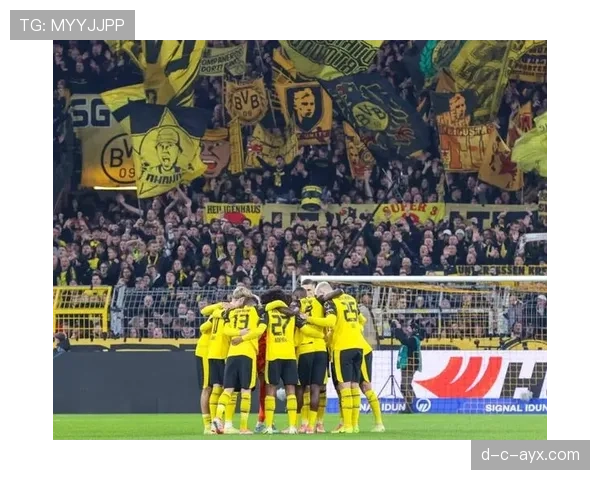 德甲劲旅阵容革新士气重振，新赛季征程备受瞩目