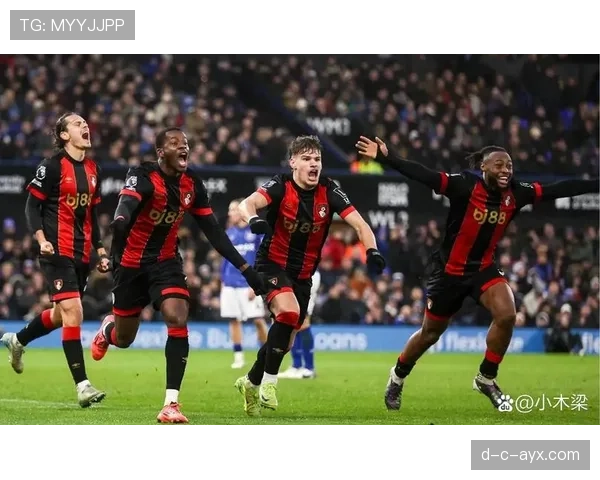 伯恩茅斯老板注资新项目,助力俱乐部加速发展 伯恩茅斯老板注资新项目,助力俱乐部加速发展