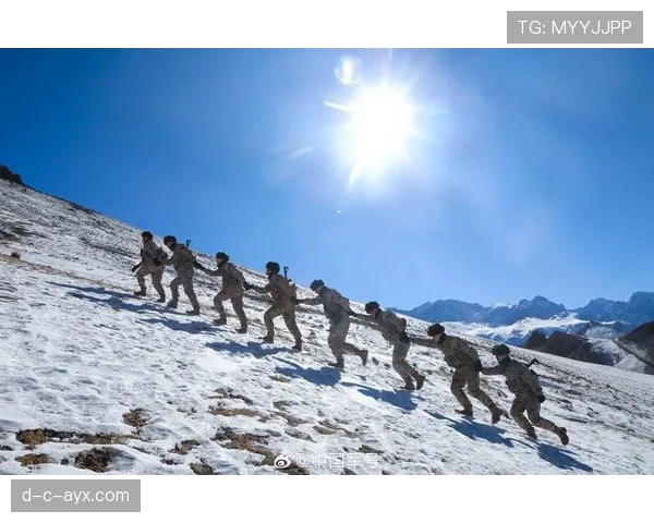 佩佩领衔防线筑起钢铁长城，球队士气高涨迎战新挑战