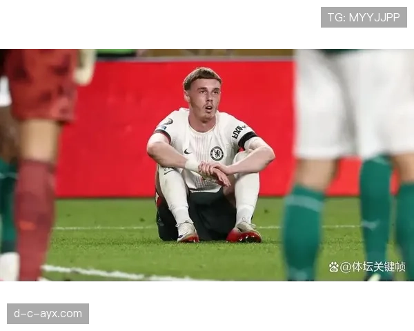 西汉姆主力伤缺，战斗力受重创