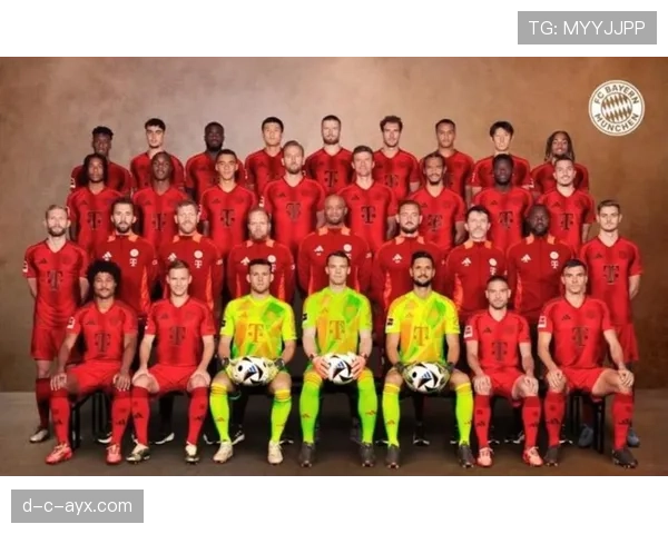 德甲阵容优化速查 德甲阵容优化速查