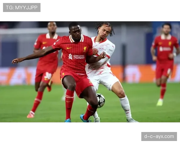 德甲莱比锡红牛足球俱乐部