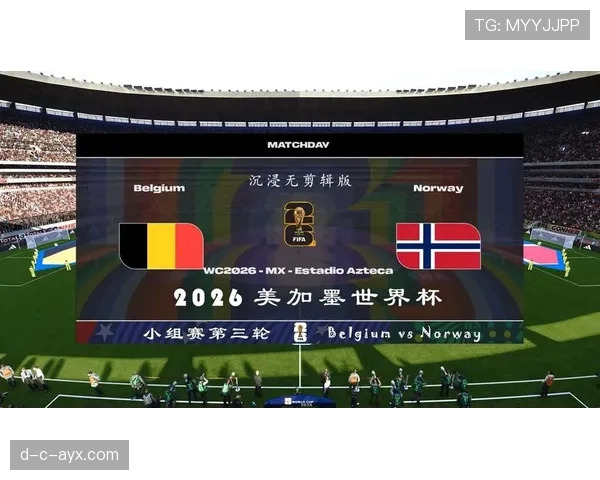 瑞士队2026世界杯小组赛出线前景分析：对手实力与晋级形势解读