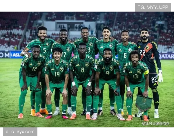 沙特0-0佛得角：世界杯H组末轮战报